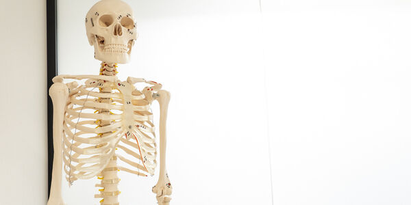 LaWeitz praktijk in beeld